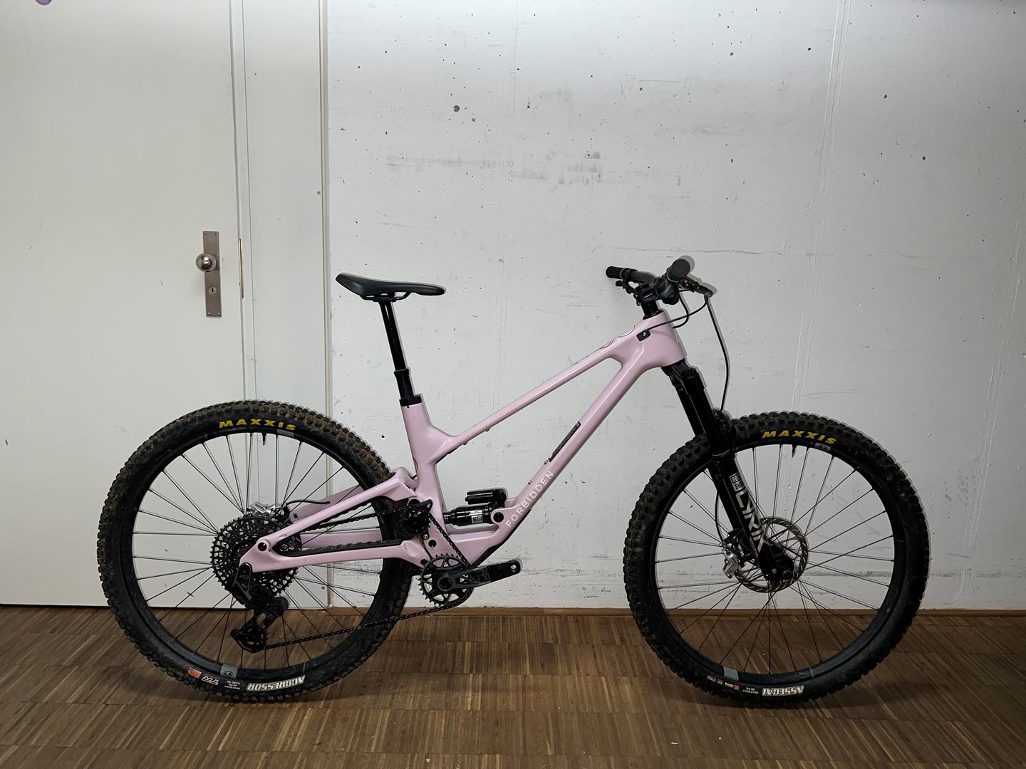 Druid V2 29" S3 | Testbike