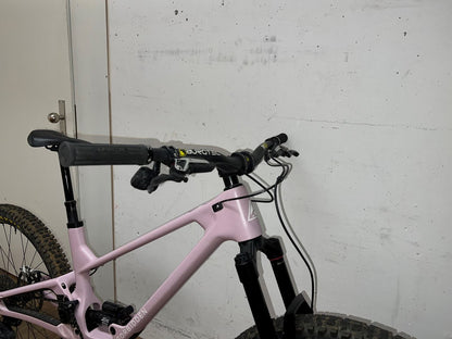 Druid V2 29" S3 | Testbike